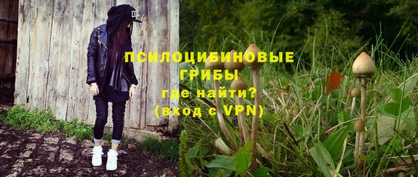 не бодяженный Няндома